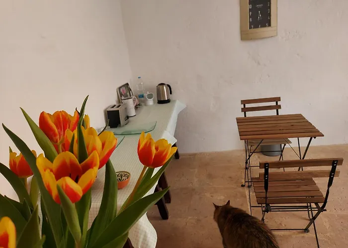 Razzett Warda Bed & Breakfast 3*