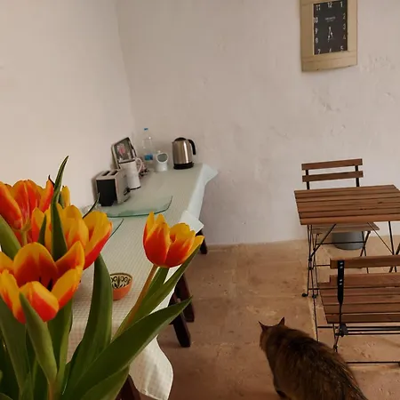 Razzett Warda Bed & Breakfast 3*